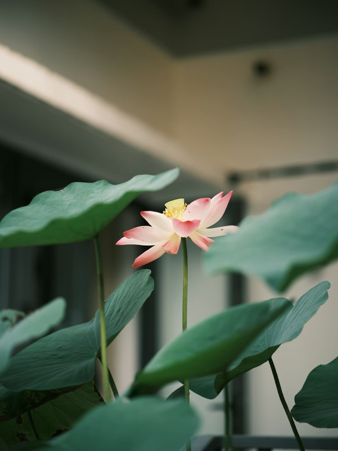 文明叠加科技 夏天夜间经济生机四射